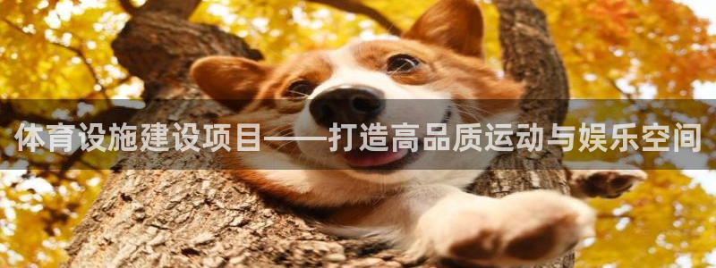 意昂4集团官网首页：体育设施建设项目——打造高品质运