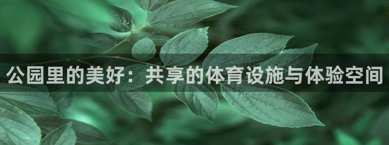 意昂体育4开户：公园里的美好：共享的体育设施与体验空
