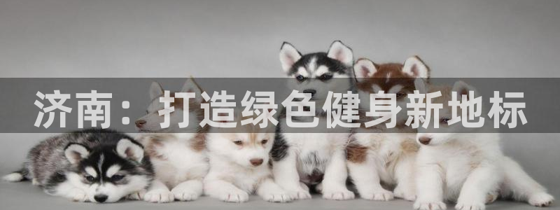 海南意昂体育4：济南：打造绿色健身新地标