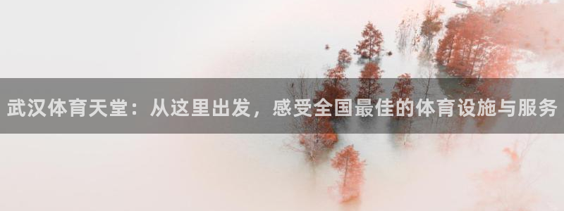 意昂4集团官网网址：武汉体育天堂：从这里出发，感受全