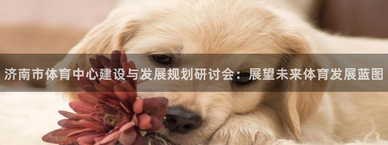 意昂体育4软件：济南市体育中心建设与发展规划研讨会：