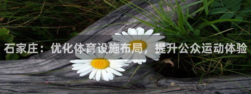 意昂平台体育：石家庄：优化体育设施布局，提升公众运动