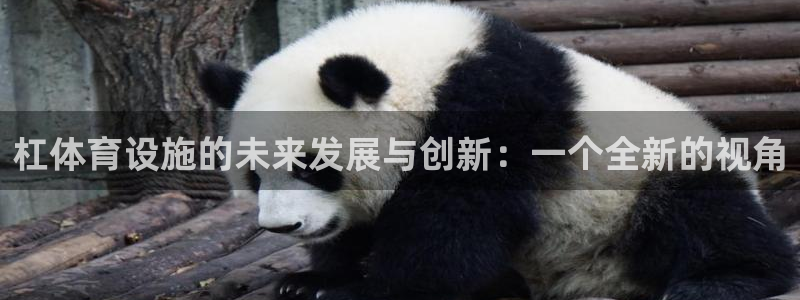 德国意昂4集团：杠体育设施的未来发展与创新：一个全新