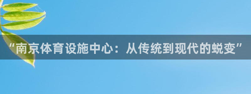 意昂体育4：“南京体育设施中心：从传统到现代的蜕变”