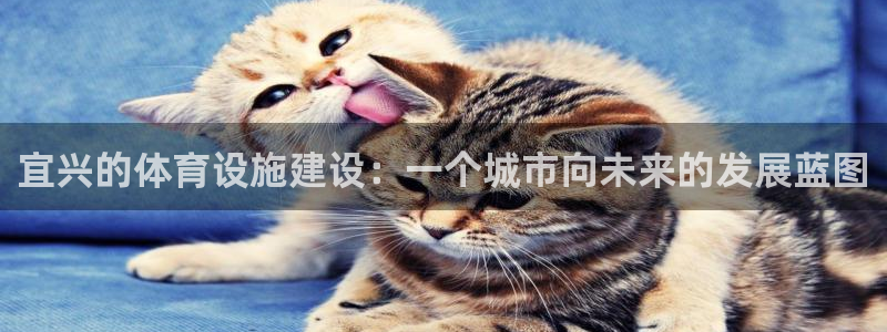 意昂体育4软件：宜兴的体育设施建设：一个城市向未来的