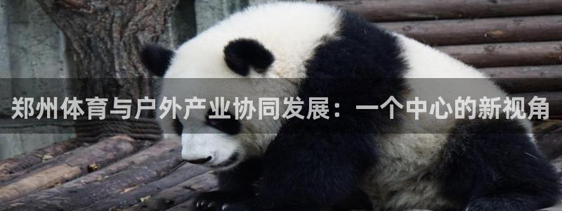意昂集团官网：郑州体育与户外产业协同发展：一个中心的