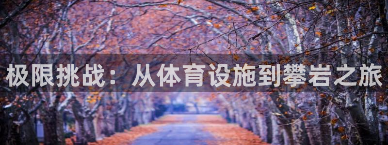 意昂体育4开户：极限挑战：从体育设施到攀岩之旅