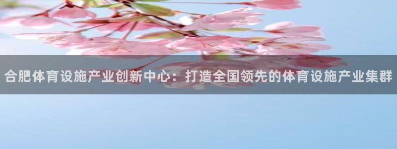 意昂体育4招商电话地址：合肥体育设施产业创新中心：打