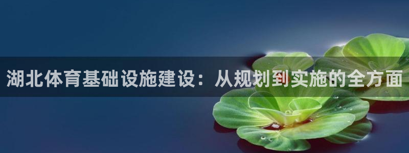 意昂体育4招商电话号码：湖北体育基础设施建设：从规划