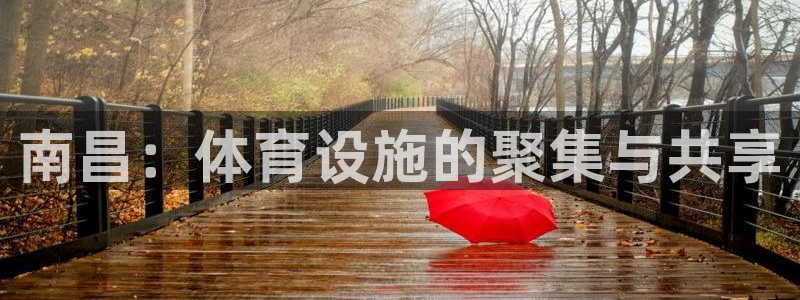 意昂体育4平台APP：南昌：体育设施的聚集与共享
