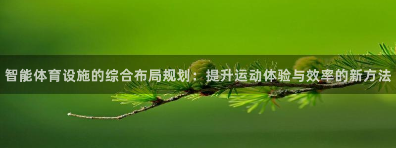 意昂体育4平台注册：智能体育设施的综合布局规划：提升