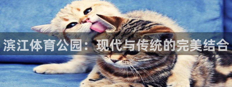 意昂体育4平台注册要钱吗：滨江体育公园：现代与传统的