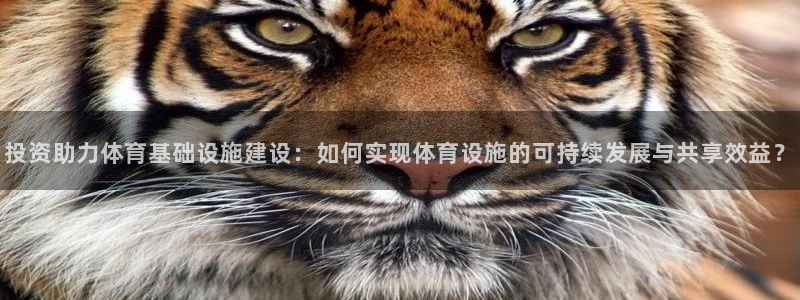 意昂体育4平台注册要钱吗安全吗：投资助力体育基础设施