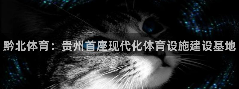 意昂4集团E.ON：黔北体育：贵州首座现代化体育设施