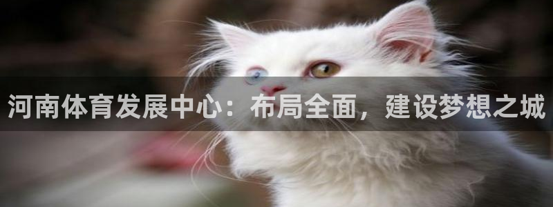 意昂4集团简介：河南体育发展中心：布局全面，建设梦想