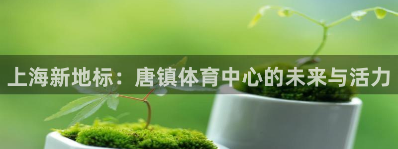意昂体育4平台注册要钱吗是真的吗：上海新地标：唐镇体