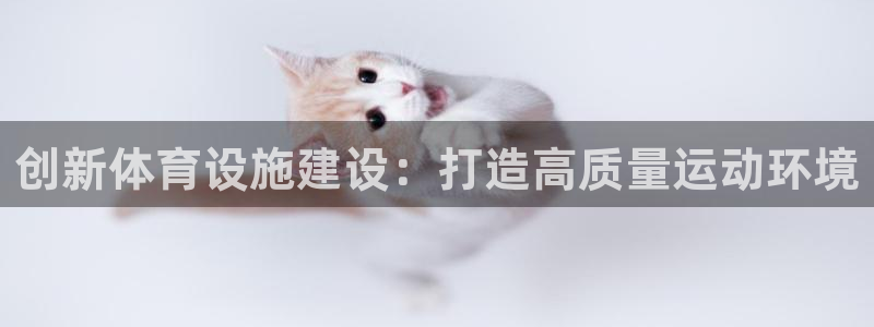 意昂体育4平台假的吗是真的吗吗：创新体育设施建设：打