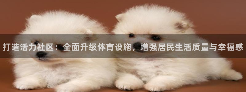 意昂体育4平台注册流程视频：打造活力社区：全面升级体育设施，