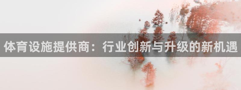 意昂体育4平台注册要钱吗：体育设施提供商：行业创新与升级的新