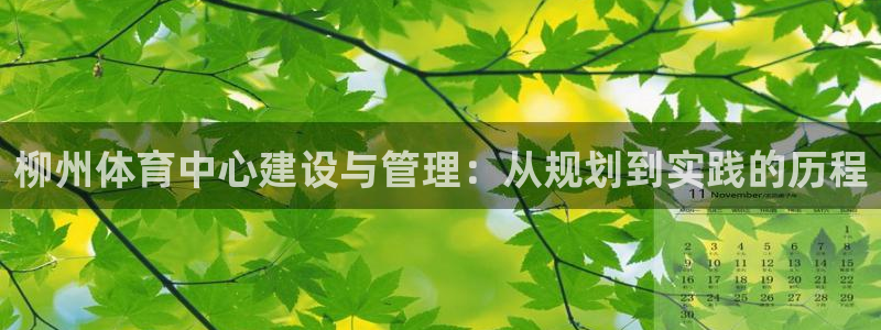 意昂体育4招商电话是多少号码：柳州体育中心建设与管理：从规划