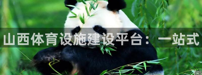 意昂4集团：山西体育设施建设平台：一站式