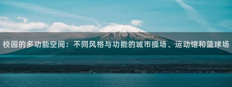 意昂4集团官网网址：校园的多功能空间：不同风格与功能的城市操 