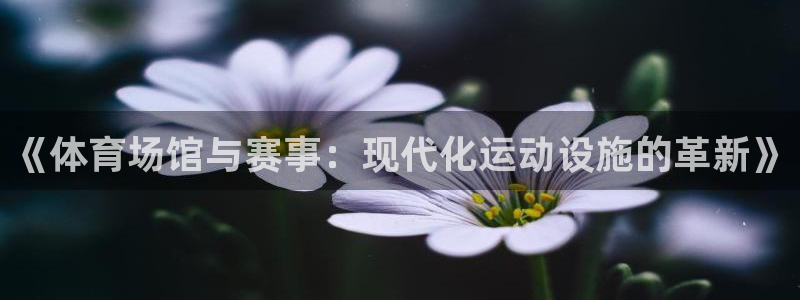 意昂4娱乐：《体育场馆与赛事：现代化运动设施的革新》
