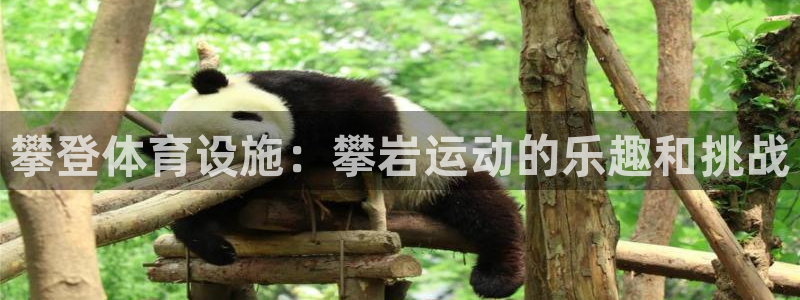 意昂体育4平台注册要钱吗安全吗：攀登体育设施：攀岩运动的乐趣