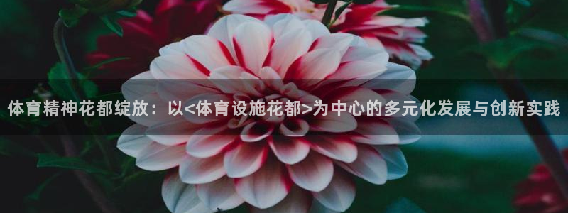 意昂体育4软件：体育精神花都绽放：以<体育设施花都>为中心的