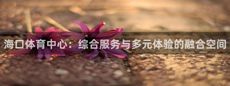 注册意昂4：海口体育中心：综合服务与多元体验的融合空