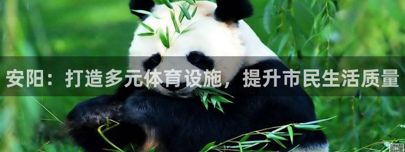意昂体育4平台是正规平台吗知乎：安阳：打造多元体育设