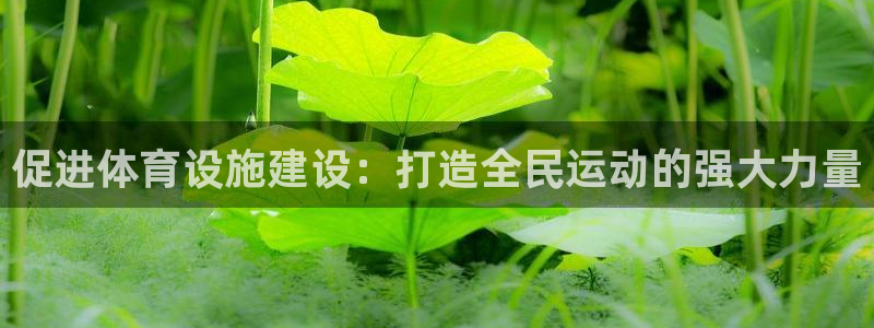 意昂体育4平台：促进体育设施建设：打造全民运动的强大力量
