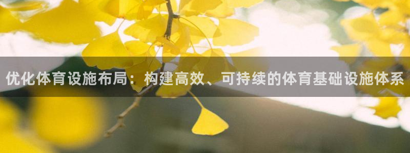 意昂体育4软件：优化体育设施布局：构建高效、可持续的体育基础 