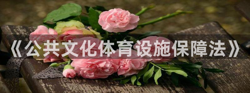 意昂4娱乐：《公共文化体育设施保障法》