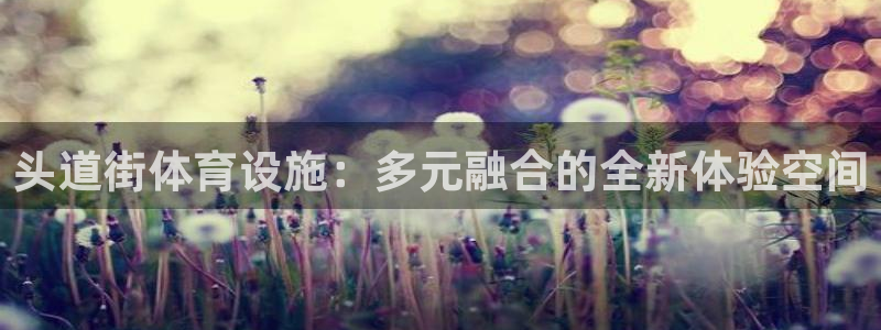 意昂4集团logo：头道街体育设施：多元融合的全新体
