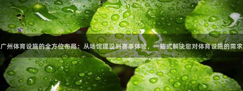 意昂4集团logo：广州体育设施的全方位布局：从场馆
