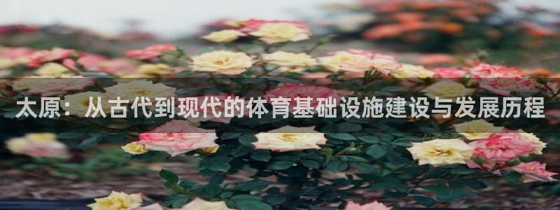 意昂4集团简介：太原：从古代到现代的体育基础设施建设与发展历