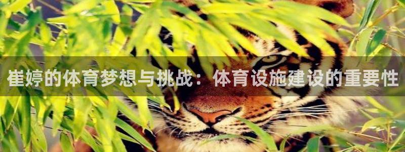 意昂4集团官网网址：崔婷的体育梦想与挑战：体育设施建设的重要