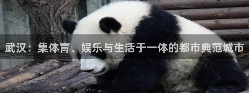 意昂体育4注册：武汉：集体育、娱乐与生活于一体的都市