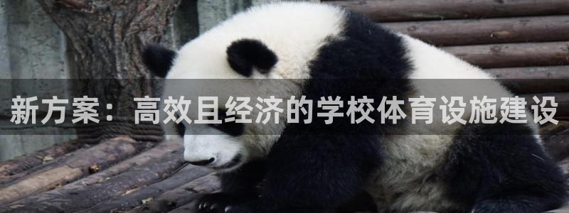 意昂体育4联系电话：新方案：高效且经济的学校体育设施