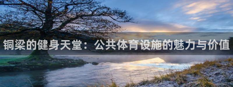 意昂体育4软件：铜梁的健身天堂：公共体育设施的魅力与
