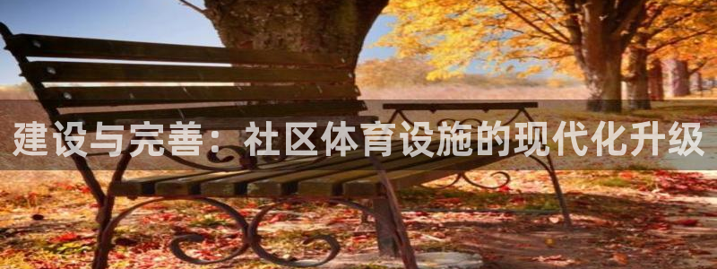 意昂4娱乐下载：建设与完善：社区体育设施的现代化升级