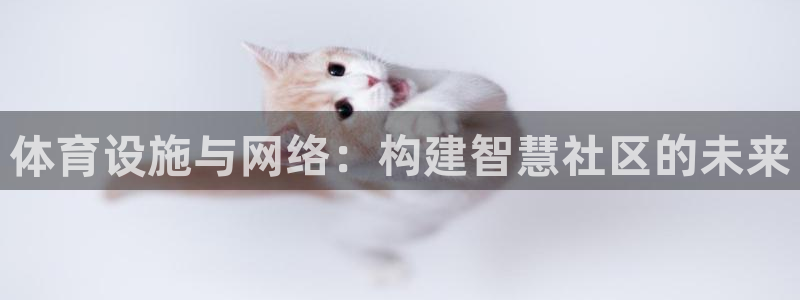 意昂4集团官网网址：体育设施与网络：构建智慧社区的未