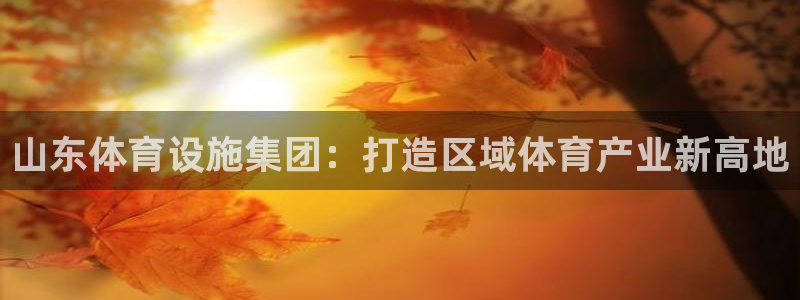 意昂体育4招商：山东体育设施集团：打造区域体育产业新