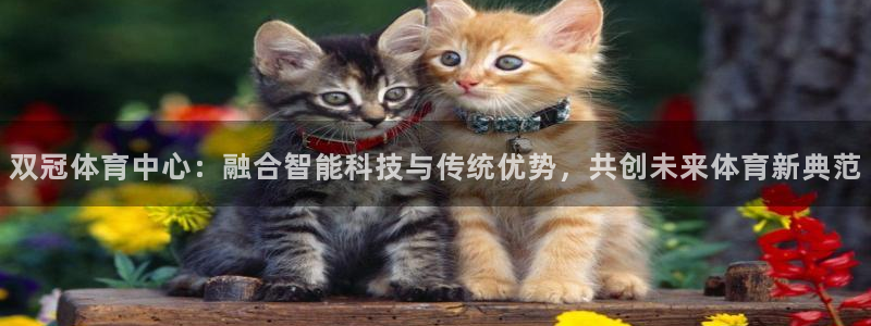 意昂体育4平台注册流程视频：双冠体育中心：融合智能科