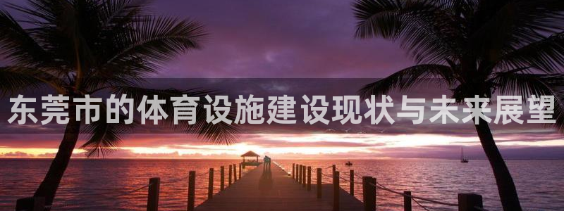 意昂体育4平台是正规平台吗：东莞市的体育设施建设现状