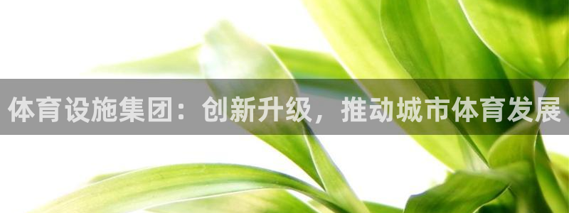 意昂体育4注册：体育设施集团：创新升级，推动城市体育
