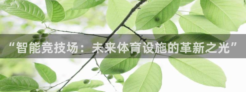 意昂4娱乐首页官网下载：“智能竞技场：未来体育设施的