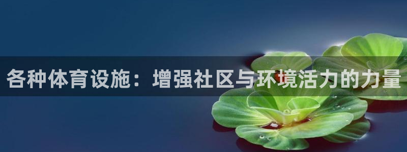 意昂4官方：各种体育设施：增强社区与环境活力的力量