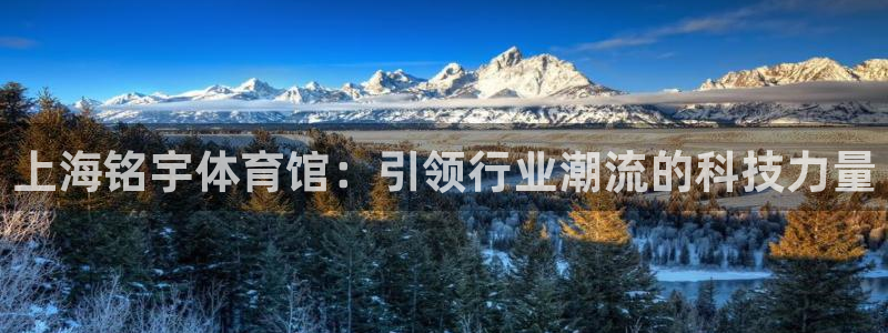 意昂4集团官网网址：上海铭宇体育馆：引领行业潮流的科